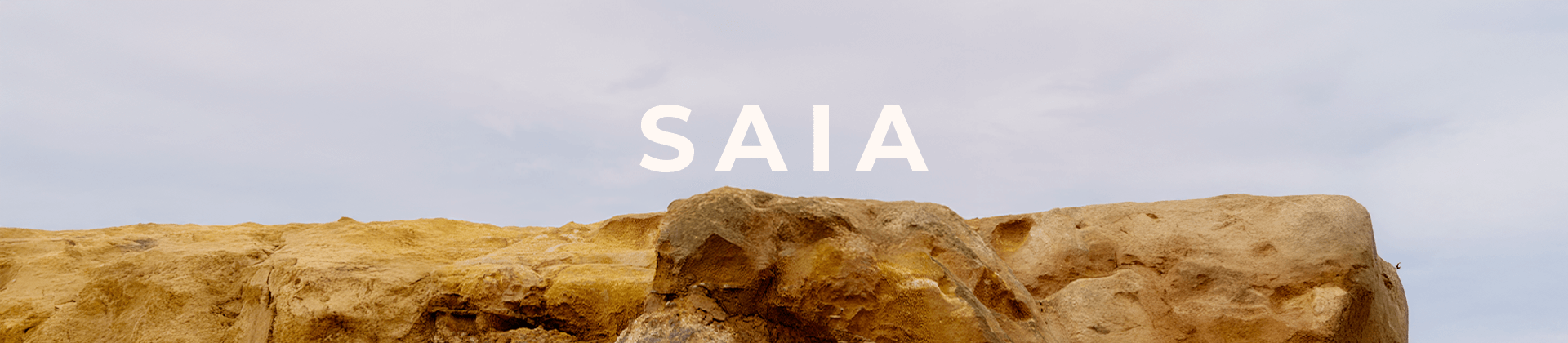 Saia