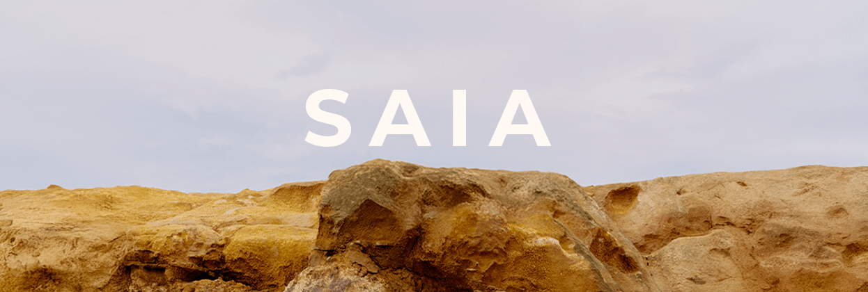 Saia