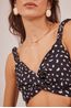 CROPPED-EST.-PINGOS