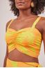 CROPPED-EST.-CORAL